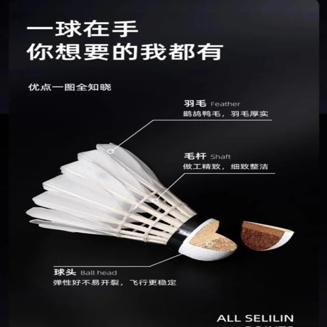 法网签表变化展望热门对决